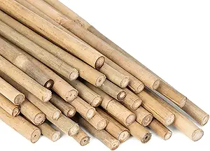 Garden Bamboo Sticks